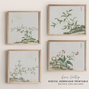 May include: Four framed botanical prints featuring delicate floral illustrations in shades of green, pink, and white. The prints include Chinese characters and are displayed against a white background.