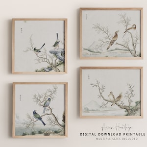 In Love Vögel Galerie Wand 4er Set Kunst Druck, Vintage Quadrat Horizontale Printable Digital Download Mixing Kultur Antique Print Decor | 102