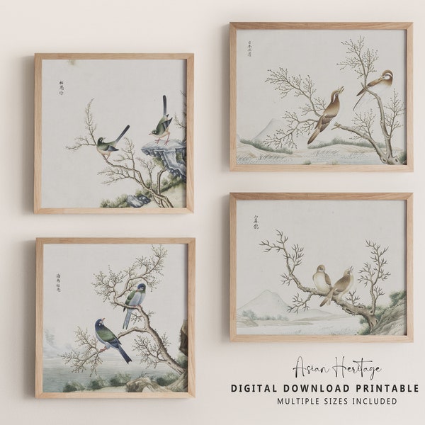 In Love Birds Gallery Wall Set of 4 Art Print, Vintage Square Horizontal Printable Digital Download Mixing Culture Antique Print Decor | 102
