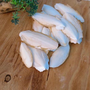 May include: A pile of white, oval-shaped cuttlefish bones with a light brown edge, arranged on a wooden surface. The cuttlefish bones are a natural off-white color. Greenery is visible in the top left corner.