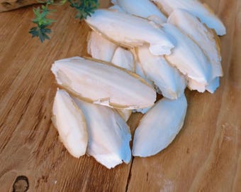 Natural cuttlefish bone 15 pcs. Natural supplement for birds. Cuttlefish shells, Cuttlefish