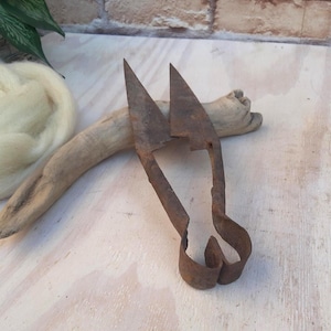 Primitive sheep shears, metal sheep shears, hand forged rusted sheep shears, metal tool, farm decor.