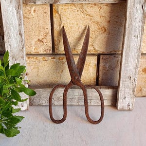May include: A pair of vintage metal shears with a heavily rusted, dark brown textured finish. The scissors feature two large, rounded finger loops and long, pointed blades that are slightly open, showcasing a weathered and aged appearance.