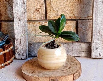 Onyx Vase, Natursteinschale, Blumentopfständer, Natursteinprodukte