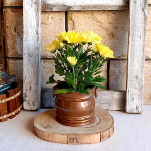 May include: A potted plant with bright yellow chrysanthemum flowers and green leaves housed in a small, round, metallic copper-coloured container with two side handles, resting on a circular light-coloured wooden slice base.