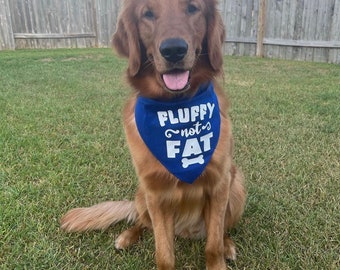 Pet Bandana