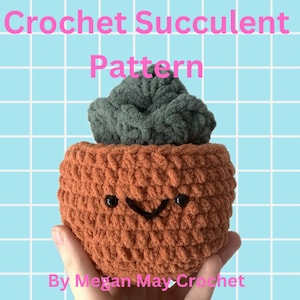 Modèle au crochet - Plante succulente en pot