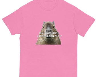 Idk How Much Longer I Can Slay Capybara Sarcastic Dank Meme Quote Funny Meme T-Shirt