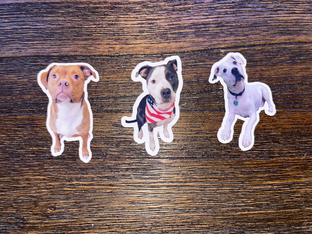 Custom Dog Photo Sticker - Waterproof Die Cut Pet Decal - Etsy