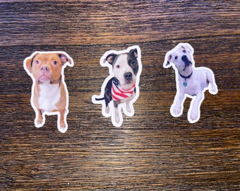 Custom Dog Photo Sticker, Personalized Pet Sticker, Custom Dog Decal, Waterproof Pet Gift
