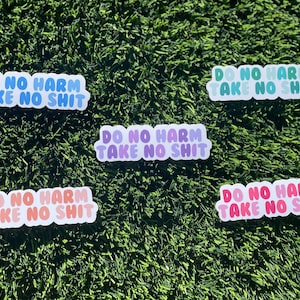 以下が含まれることがあります： 緑の芝生の上に、バブルフォントで「Do No Harm Take No Shit」と書かれたカラフルなステッカーが6枚あります。