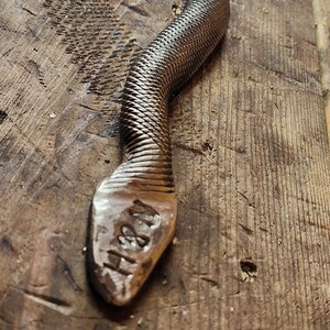 Hand forged metal snake image 4