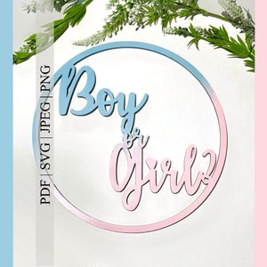 以下が含まれることがあります： 青とピンクのジェンダーリビールサインで、「ボーイかガール？」という文字が装飾的な筆記体で書かれています。サインは青とピンクのグラデーションの円形です。