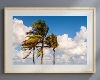 Miami Palm Tree Print, Coastal Wind, Florida Beach Decor