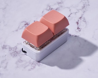 2 Key Mechanical Keyboard Fidget Keychain - Pastel Colors