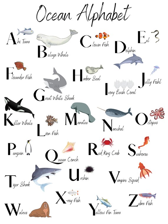 Ocean Alphabet Poster Printable/ Alphabet Ocean Poster - Etsy UK