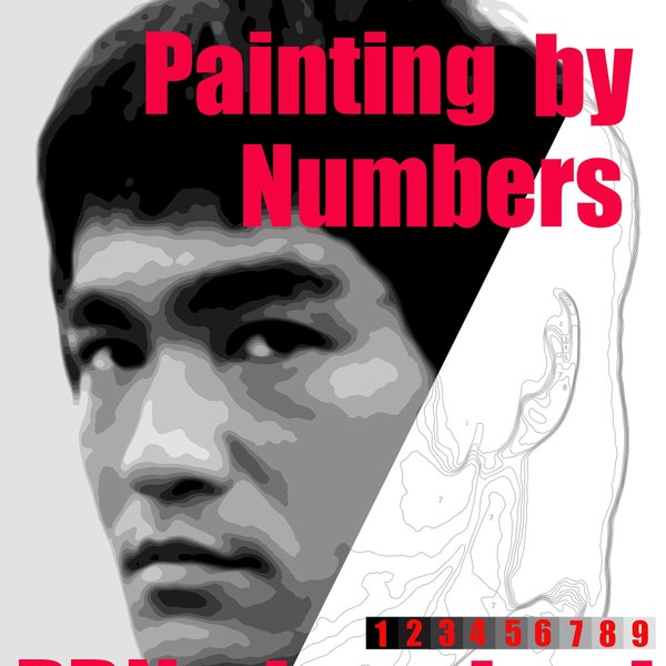 Painting By Numbers DOWNLOAD ! Bruce lee, PopArt, Digital, PBN