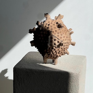 The Timewalker , paper mache vessel