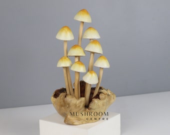 Wooden Mushroom Art, White Mushroom, Forest, Nature, Statue, Wood Carving, Home Deco, Ornament, Birthday Gift, Gift for Her, Mother Day Gift