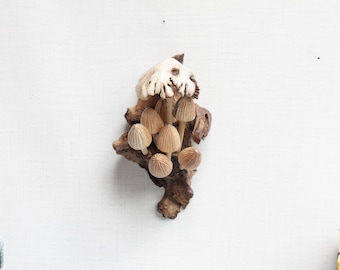 Arte mural de hongos de madera, decoración de pared de hongos de madera, escultura de hongos para decoración de interiores, decoración de pared para regalo de San Valentín.