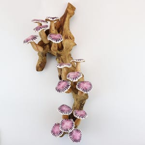 May include: A decorative wooden wall hanging featuring a cluster of ceramic mushrooms. The mushrooms have white stems and caps with a purple and white radial pattern. The wood has a natural, light brown color.