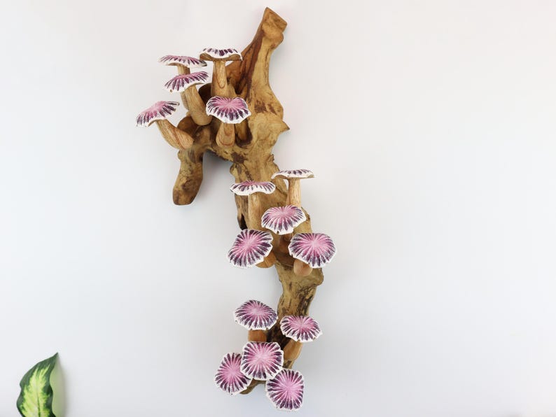 May include: A decorative wooden wall hanging featuring a cluster of ceramic mushrooms. The mushrooms have white stems and caps with a purple and white radial pattern. The wood has a natural, light brown color.