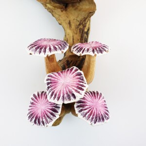 May include: A cluster of five decorative ceramic mushrooms with pink and white caps and brown stems, attached to a piece of natural wood. The mushroom caps have a radial pattern. The background is white.
