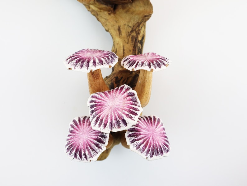 May include: A cluster of five decorative ceramic mushrooms with pink and white caps and brown stems, attached to a piece of natural wood. The mushroom caps have a radial pattern. The background is white.