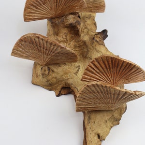 K&ouml;nnte beinhalten: Eine Wanddekoration aus Holz mit f&uuml;nf geschnitzten f&auml;cherf&ouml;rmigen Teilen, die an einem St&uuml;ck Treibholz befestigt sind.