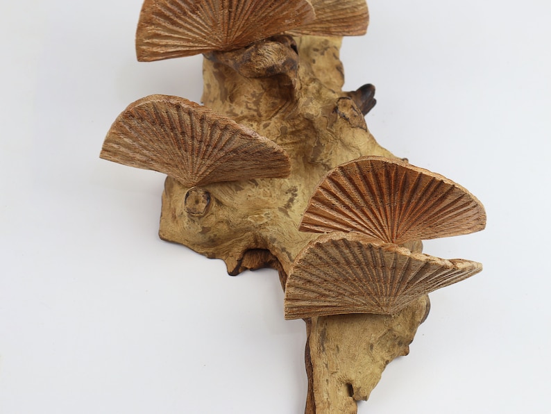 K&ouml;nnte beinhalten: Eine Wanddekoration aus Holz mit f&uuml;nf geschnitzten f&auml;cherf&ouml;rmigen Teilen, die an einem St&uuml;ck Treibholz befestigt sind.