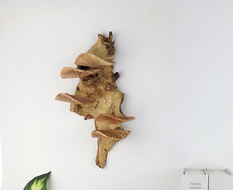 K&ouml;nnte beinhalten: Ein Wanddekor aus Holz mit einer nat&uuml;rlichen braunen Oberfl&auml;che. Das St&uuml;ck ist in Form eines Astes mit mehreren Schichten dekorativer Pilzformen gestaltet.