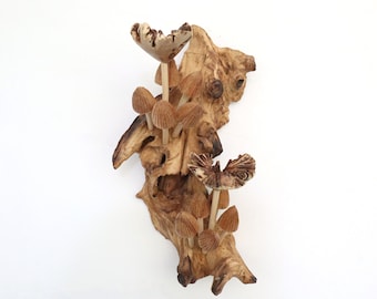 Hongo de madera, decoración de pared, colgante de pared, decoración de pared con forma de hongo, decoración del hogar, regalo para ella, regalo para él, adorno de San Valentín para regalar.