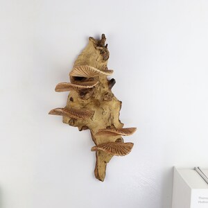 K&ouml;nnte beinhalten: Ein Wandregal aus Holz mit einer nat&uuml;rlichen Holzoptik und einer einzigartigen, organischen Form. Das Regal hat vier Ebenen, die jeweils die Form eines Pilzdeckels haben.