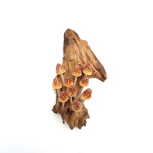 Hand Painted Wooden Mushroom Wall Deco, Colorful Mushroom Art, Wall Hanging, Wood Deco, Nature Inspired, Wall Art, Special Valentine Gift