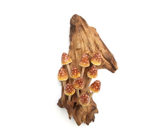 Hongo de madera pintado a mano, decoración de pared, arte colorido con hongos, colgante de pared, decoración de madera, inspiración natural, arte mural, regalo especial de San Valentín.