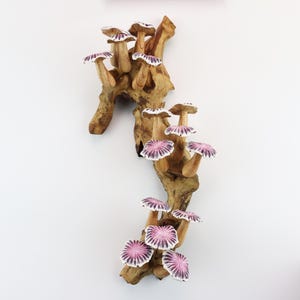 May include: A wooden wall art piece featuring a cluster of stylized mushrooms. The mushrooms have light brown stems and caps with a pink and white radial pattern. The wood base is a natural, light brown color.