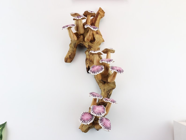 May include: A wooden wall art piece featuring a cluster of stylized mushrooms. The mushrooms have light brown stems and caps with a pink and white radial pattern. The wood base is a natural, light brown color.