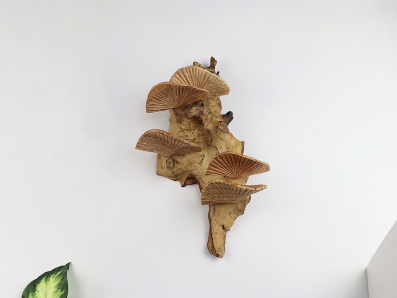 K&ouml;nnte beinhalten: Ein Wanddekor aus Holz mit einer nat&uuml;rlichen Holzoptik. Das St&uuml;ck verf&uuml;gt &uuml;ber mehrere f&auml;cherf&ouml;rmige Holzelemente, die an einem St&uuml;ck Treibholz befestigt sind.