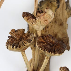 May include: Close-up of a wooden sculpture featuring several stylized mushroom-like forms. The mushrooms have textured, brown caps and are attached to a central wooden stem. The background includes a piece of textured wood.