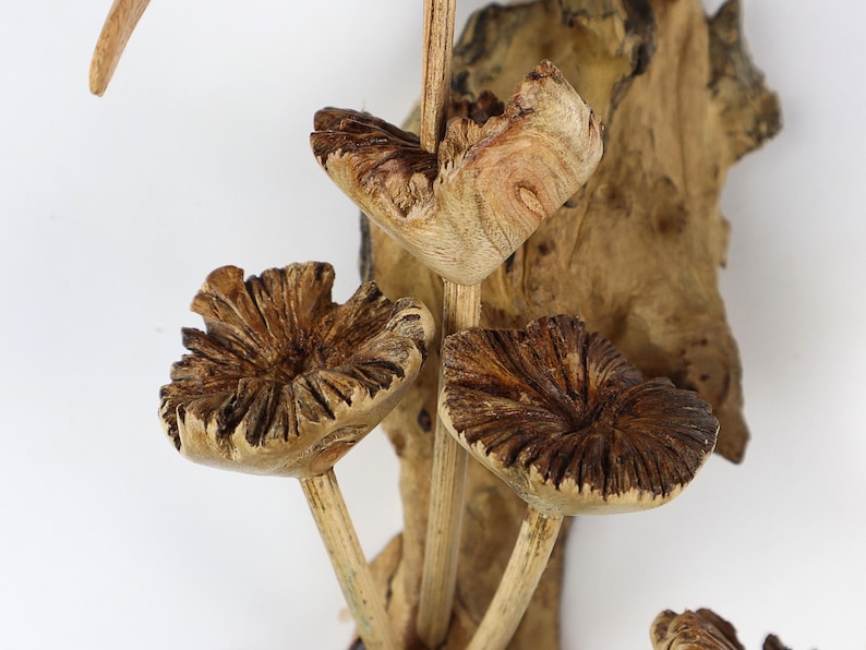 May include: Close-up of a wooden sculpture featuring several stylized mushroom-like forms. The mushrooms have textured, brown caps and are attached to a central wooden stem. The background includes a piece of textured wood.