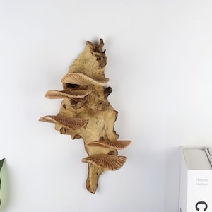 Wooden Mushroom Wall Art, Mushroom Oyster Wall Deco, Vintage Wall Deco, Handmade Home Deco, Garden Deco, Birthday , Valentine Day Decoration
