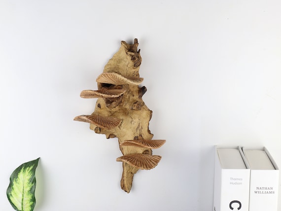 Wooden Mushroom Wall Art, Mushroom Oyster Wall Deco, Vintage Wall Deco, Handmade Home Deco, Garden Deco, Birthday , Valentine Day Decoration