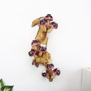 Pu&ograve; includere: Una scultura decorativa in legno con diversi elementi a forma di fungo. I funghi hanno cappelli rosa scuro con pois bianchi e sono attaccati a un ramo di legno color naturale. La scultura &egrave; montata su una parete bianca.