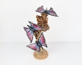 Article de cette boutique