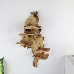 K&ouml;nnte beinhalten: Ein Wandregal aus Holz in Form eines Astes mit mehreren Ebenen. Das Regal ist aus Naturholz in hellbrauner Farbe und hat einen rustikalen Look.