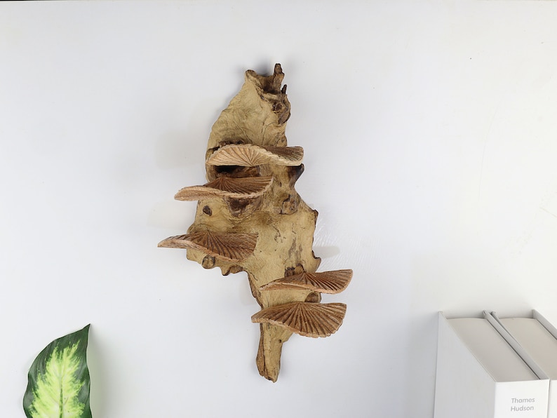 K&ouml;nnte beinhalten: Ein Wandregal aus Holz in Form eines Astes mit mehreren Ebenen. Das Regal ist aus Naturholz in hellbrauner Farbe und hat einen rustikalen Look.