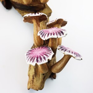 May include: A wooden sculpture of a cluster of mushrooms. The mushroom caps are a vibrant pink with white edges, and the stems are a natural wood color. The mushrooms are attached to a piece of wood.