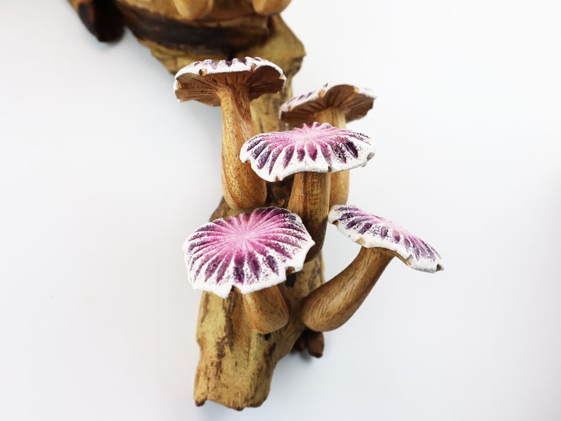 May include: A wooden sculpture of a cluster of mushrooms. The mushroom caps are a vibrant pink with white edges, and the stems are a natural wood color. The mushrooms are attached to a piece of wood.
