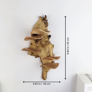 K&ouml;nnte beinhalten: Eine Wanddekoration aus Holz mit einem nat&uuml;rlichen Ast und mehreren Ebenen von Regalen in Pilzform. Der Ast ist hellbraun und die Regale sind in einem helleren Braunton gehalten. Die Dekoration ist 25 cm hoch und 10 cm breit.