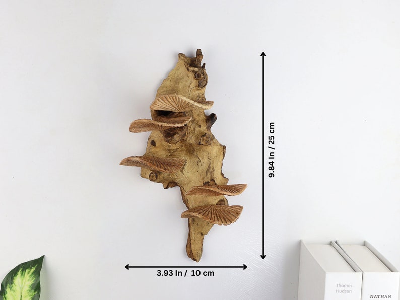 K&ouml;nnte beinhalten: Eine Wanddekoration aus Holz mit einem nat&uuml;rlichen Ast und mehreren Ebenen von Regalen in Pilzform. Der Ast ist hellbraun und die Regale sind in einem helleren Braunton gehalten. Die Dekoration ist 25 cm hoch und 10 cm breit.